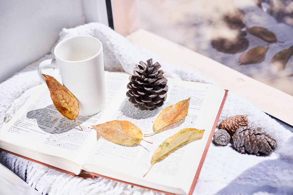 Books in a fall scene